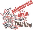 Word cloud for Polymerase chain reaction