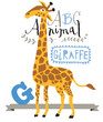 ABC animals: G is for giraffe. Vector Graphics