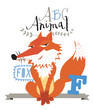 ABC animals: F is for fox. Vector Graphics