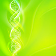 DNA magic figures.