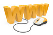 Internet symbol www connected to a mouse