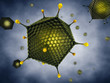 Icosahedral viruses , Adenoviridae