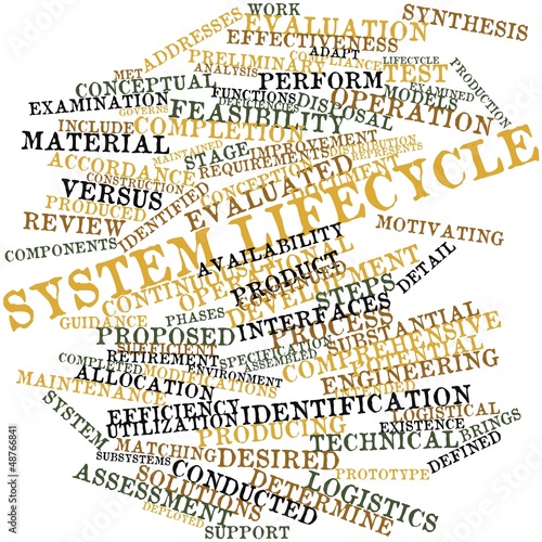 Illustration: Word cloud for System lifecycle Word cloud for System lifecycle