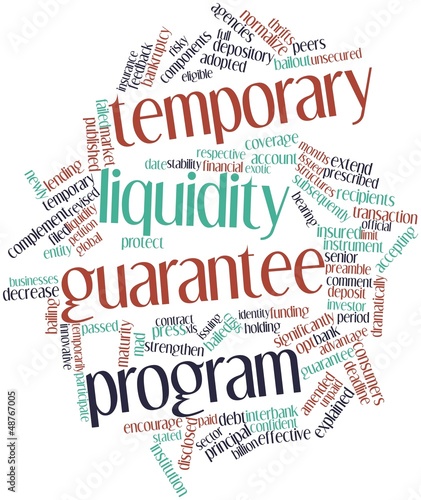 Illustration: Word cloud for Temporary Liquidity Guarantee Program Word cloud for Temporary Liquidity Guarantee Program