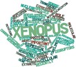 Word cloud for Xenopus