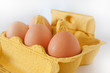 Foto: frische Eier frische Eier