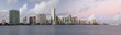 Miami Skyline Panorama.