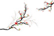 Cherry Blossoms Tree