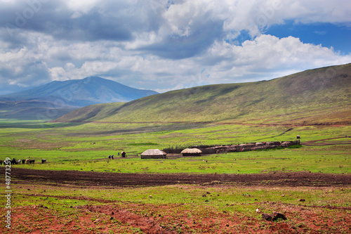 Photo: Savannah landscape in Tanzania, Africa Savannah landscape in Tanzania, Africa