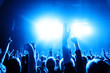cheering crowd at concert