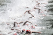 swimming the front crawl in a pool