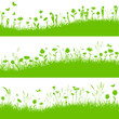 Wiese / Blumenwiesen Frühling Sommer Herbst