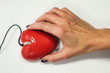 Love mouse