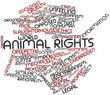 Word cloud for Animal rights