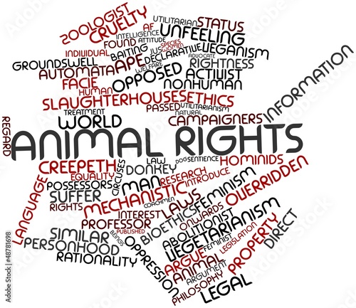 Illustration: Word cloud for Animal rights Word cloud for Animal rights