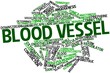 Word cloud for Blood vessel