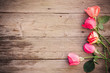 rose on wooden background