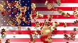 Währung - Dollar - Flagge