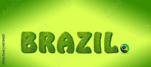 Illustration: Brazil soccer. Brazil soccer.