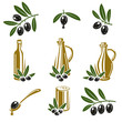 Olive set. Vector