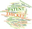 Word cloud for Patent thicket