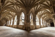 Cloister arches