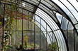 Véranda, serre, jardin, plantes, maison, jardinage, vert