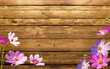 fiori sul legno