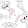 Hase