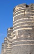 tours du chateau a angers