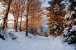 Winter Wanderweg letzte Sonnenstrahlen