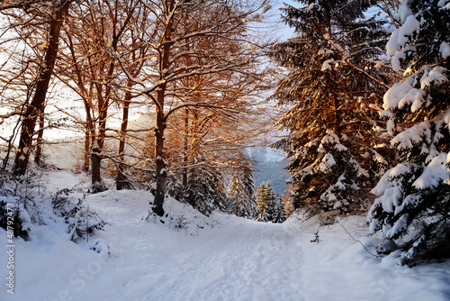 Photo: Winter Wanderweg letzte Sonnenstrahlen Winter Wanderweg letzte Sonnenstrahlen