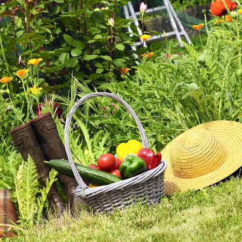 Photo: Vegetables gerden Vegetables gerden