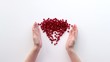Pomegranate heart