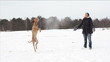 Dog and woman playing in snow