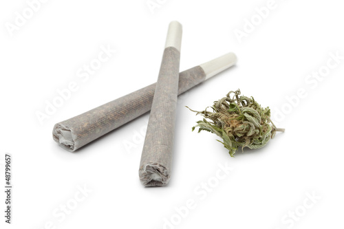 Photo: Two reefers with a Marijuana bud Two reefers with a Marijuana bud