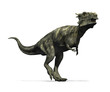 Illustration: Dracorex Dinosaur Dracorex Dinosaur