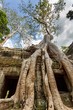 Ta Prohm temple