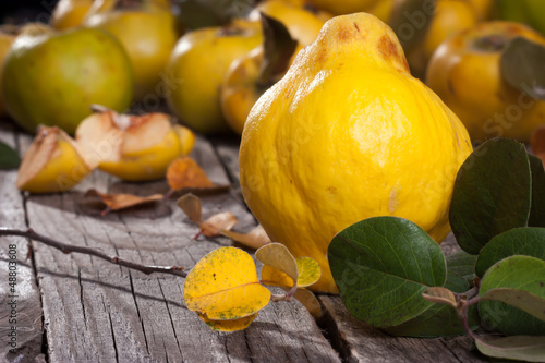 Photo: Quince fresh Quince fresh