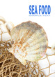 Photo: The sea shell on a fishing net. The sea shell on a fishing net.