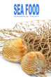 Photo: The sea shell on a fishing net. The sea shell on a fishing net.