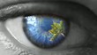 wish for travel