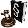 Gesetzhammer mit Buch