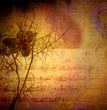 vintage background, flower and score