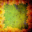 grunge frame daisies