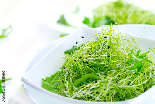 Photo: Microgreens. Healthy Green Salad. Little Sprouts. Diet Microgreens. Healthy Green Salad. Little Sprouts. Diet