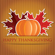 Pumpkin and maple leaf Thanksgiving card in vector format. 