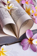 A heart shaped Afrikaans Bible and flowers