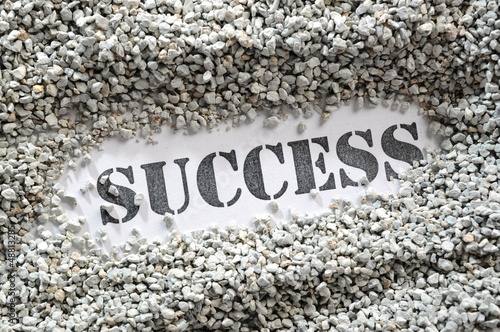 Photo: Success -- Treasure Word Series Success -- Treasure Word Series