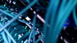 Working network server with conections.